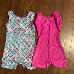 Colorful Mermaid and Pink Shimmer Leotards